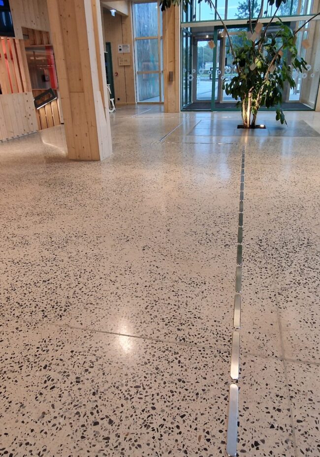 Pinnahooldus_Pelgulinna riigigümnaasiumi terratsopõrand_peasissepääs